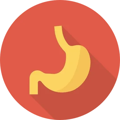 Stylized stomach icon on red circle
